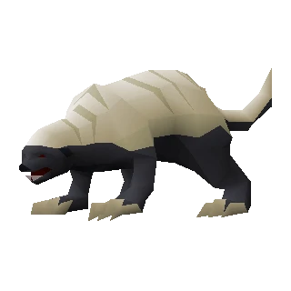 Honey badger