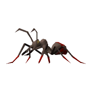 Bull ant