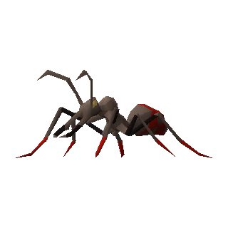 Bull ant