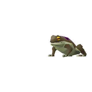 Barker toad