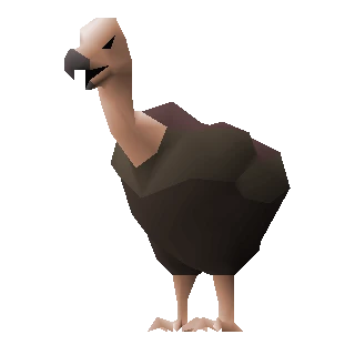 Vulture chick