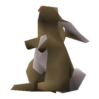 Rabbit