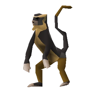 Monkey