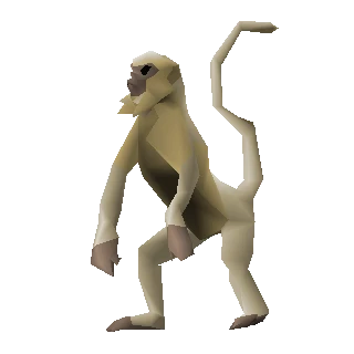 Monkey