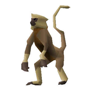 Monkey