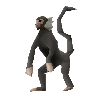 Monkey