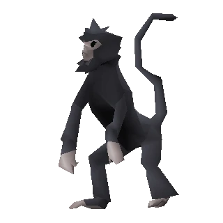 Monkey