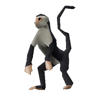 Monkey