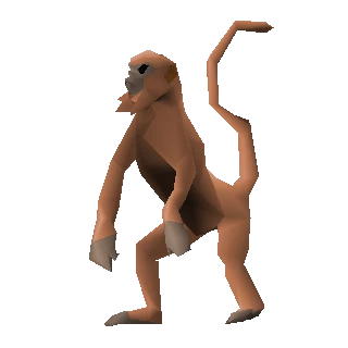 Monkey