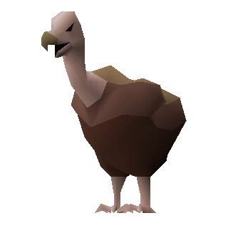 Vulture chick