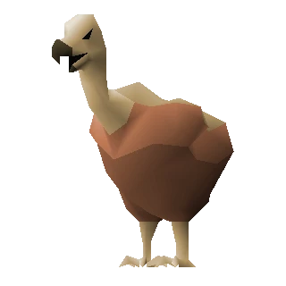 Vulture chick