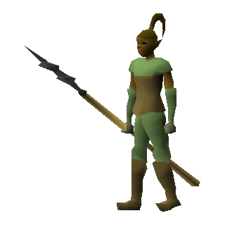 Elf warrior