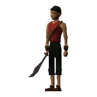 Pirate