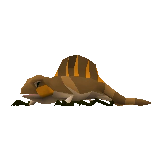 Lizard