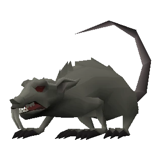 Giant rat