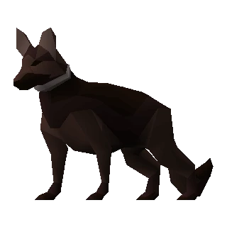 Guard dog