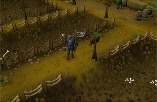 The Dig Site