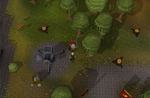 Dwarf Cannon