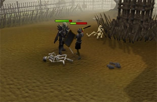 Fight Arena