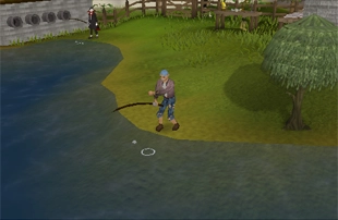 Fishing Contest