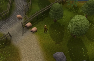 Sheep Herder