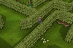 Tree Gnome Village
